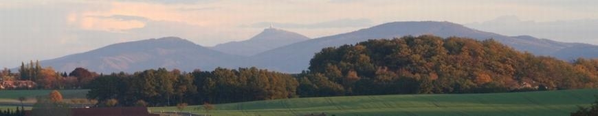 ZURÜCK ZUR STARTSEITE