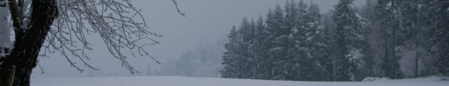 ZURÜCK ZUR STARTSEITE